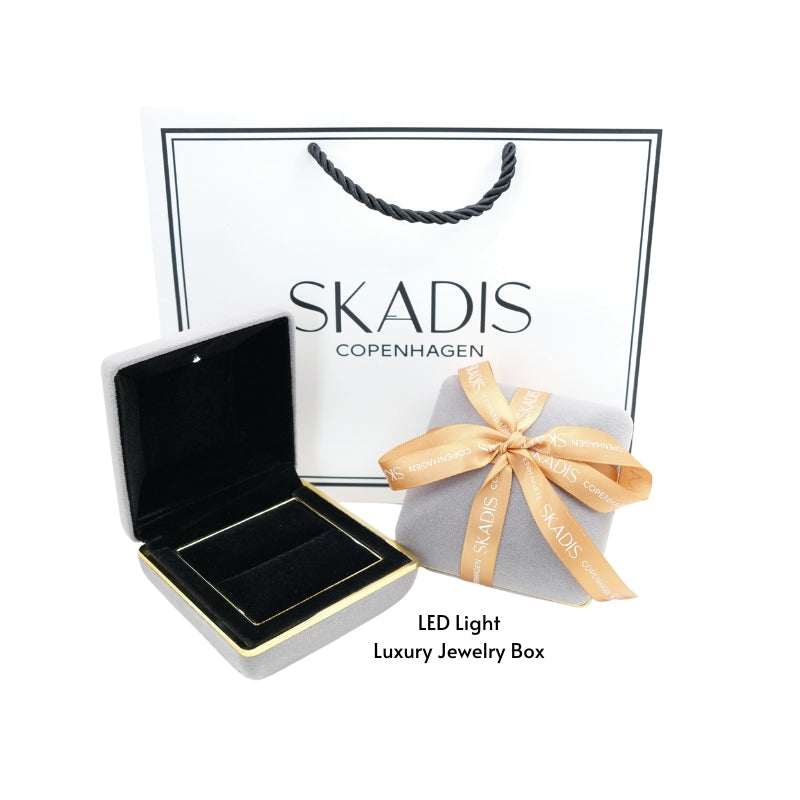 LED Jewelry box and bag with SKADIS logo on the hite background.